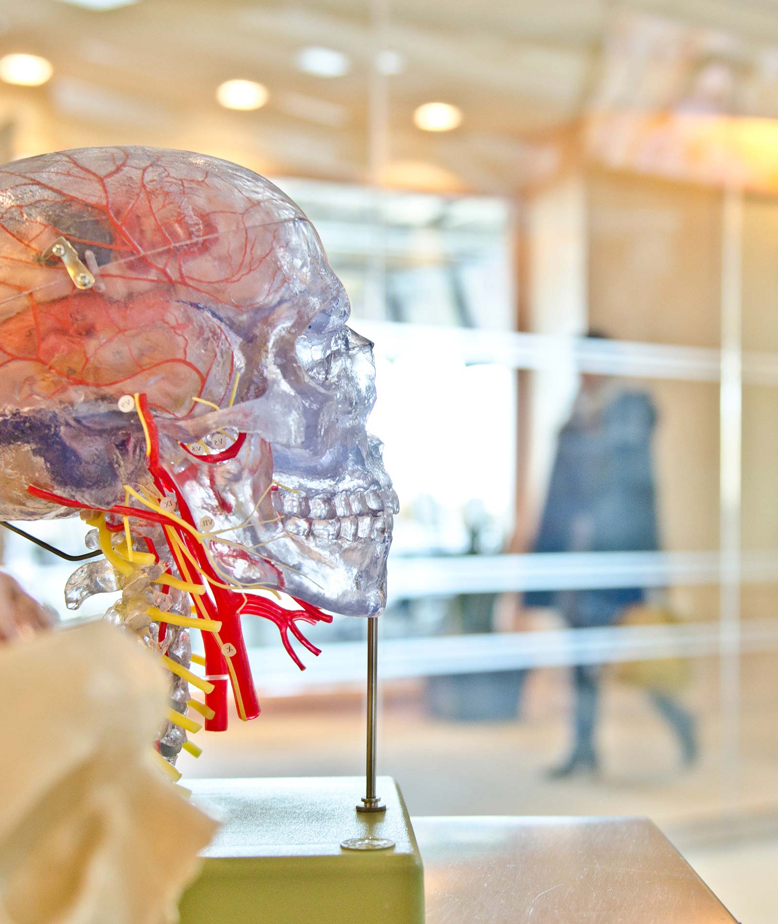 personal injury attorney