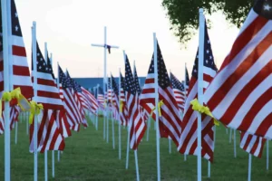 memorial-day-354082_1920-min